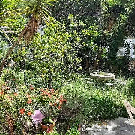 Jardin Piscine Holiday home *