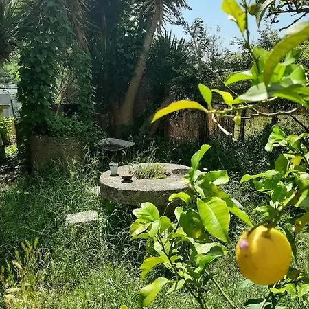 Hébergement de vacances Jardin Piscine Nice