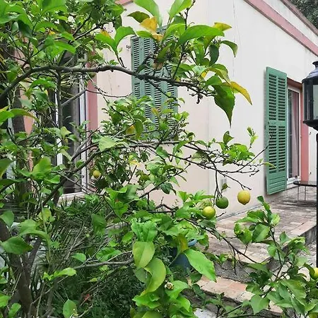 Hébergement de vacances Jardin Piscine